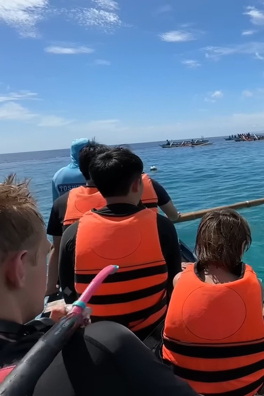 Cebu: Oslob Whale Shark &Moalboal Sardines &Turtle Thrill - Oslob Whale Shark Encounter