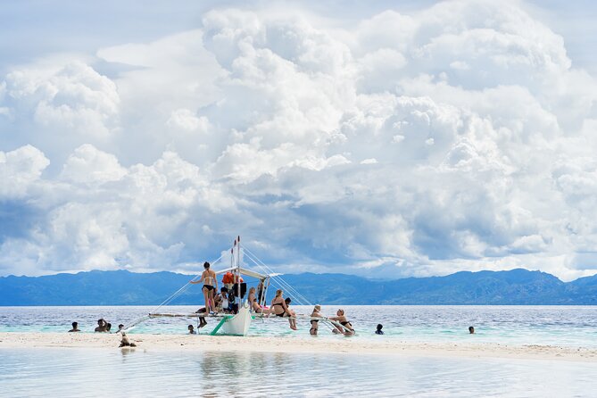 Cebu: Oslob Whale Shark, Monkey Sanctuary & Moalboal Turtle Tour - Tour Schedule and Confirmation