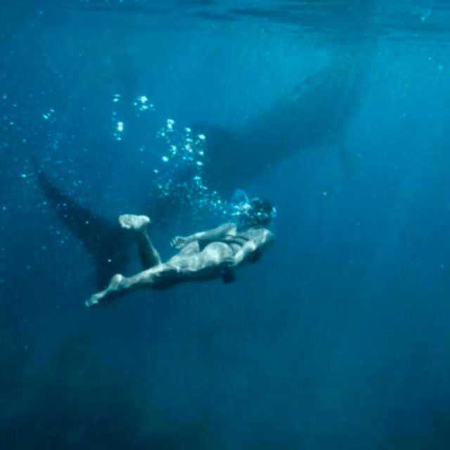 Cebu: Oslob Whale Shark, Sumilon, Ruins, Simala Church - Sightseeing Stops