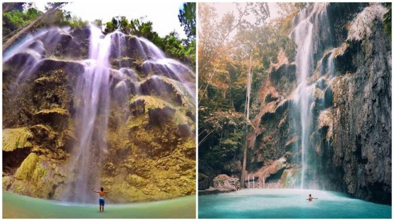 Cebu: Oslob Whale Shark Swim and Sumilon Island Day Tour - Inclusions