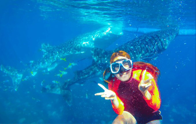 Cebu: Oslob Whale Shark Swimming Experience - Inclusions