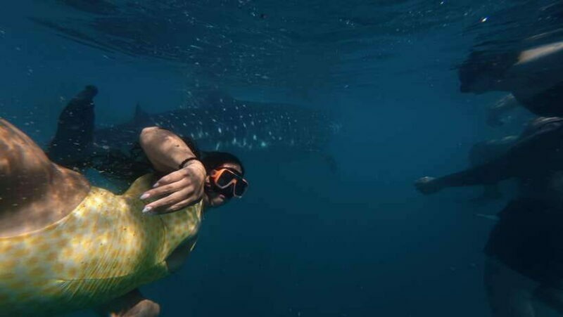 Cebu Oslob Whale Shark Swimming & Kawasan Falls Canyoneering - Final thoughts