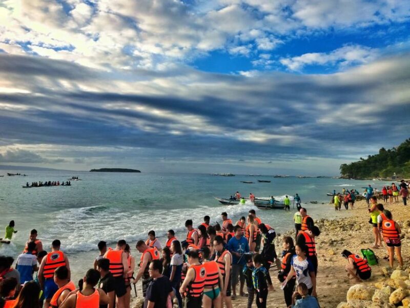 Cebu: Oslob Whale Shark Swimming - Key Points