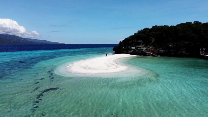 Cebu: Oslob Whale Shark Watching, Tumalog Falls, and … - Itinerary and Activities