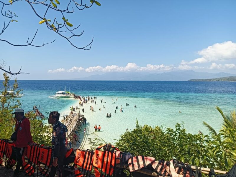 Cebu: Oslob Whale Shark Watching, Tumalog Falls, and … - Important Information and Recommendations