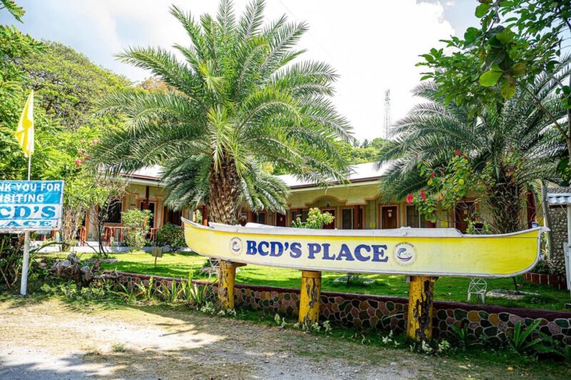 Cebu: Oslob Whale Sharks, Moalboal Sardine Run & Sea Turtles - Snorkeling Activities and Highlights