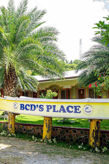 Cebu: Oslob Whale Sharks, Moalboal Sardine Run & Sea Turtles - Customer Reviews and Ratings