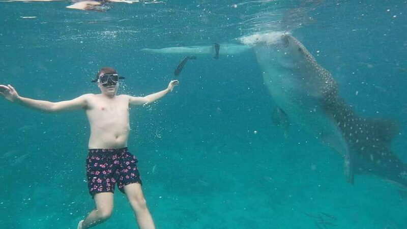 Cebu: Oslob Whaleshark & Sardines Run Snorkeling Day Tour - The Sum Up