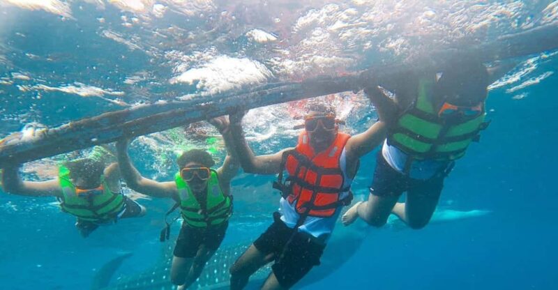 Cebu: Oslob Whaleshark Watching & Canyoneering Adventure - Key Points
