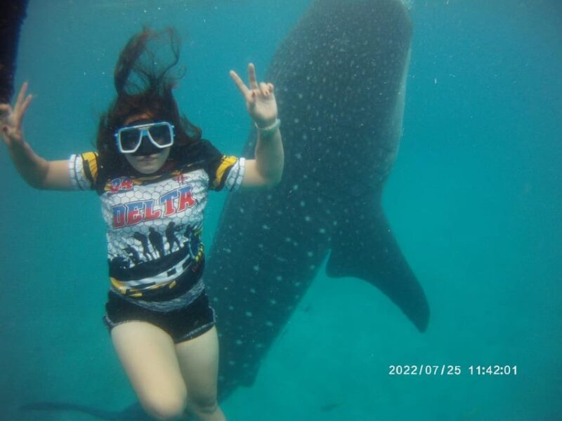 Cebu; Oslob Whaleshark Watching Day Tour - Important Guidelines and Notes
