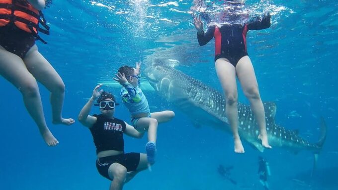Cebu; Oslob Whaleshark Watching Day Tour - Pickup and Drop-off Options