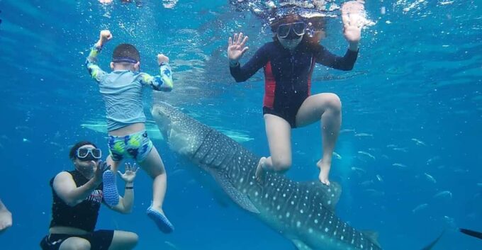 Cebu; Oslob Whaleshark Watching Day Tour - Booking and Cancellation Policy