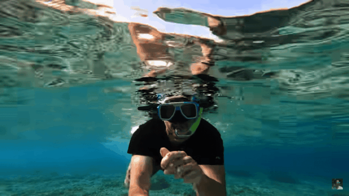 Cebu: Osmeña Peak Hike and Moalboal Snorkeling Escape - Guided Snorkeling Tour