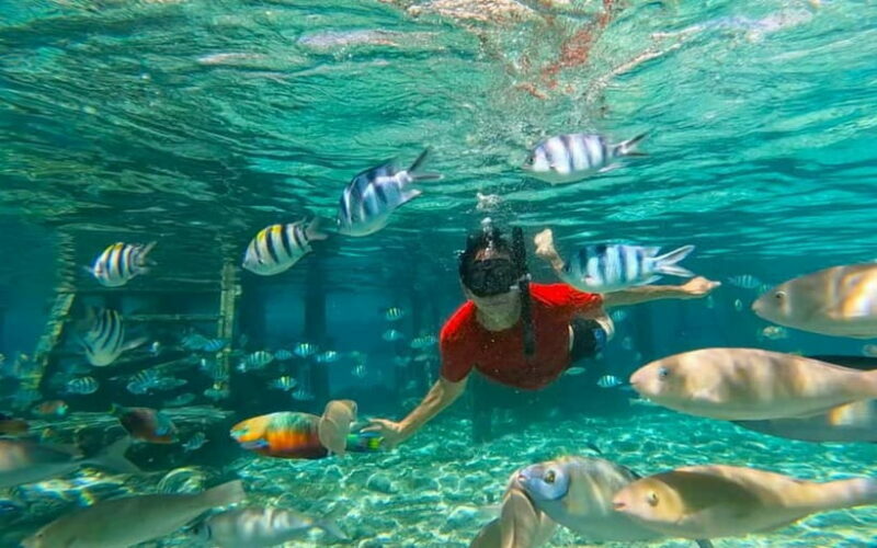 Cebu: Private Mactan Island Hopping Tour with Lunch - A Practical Guide to the Tour Experience