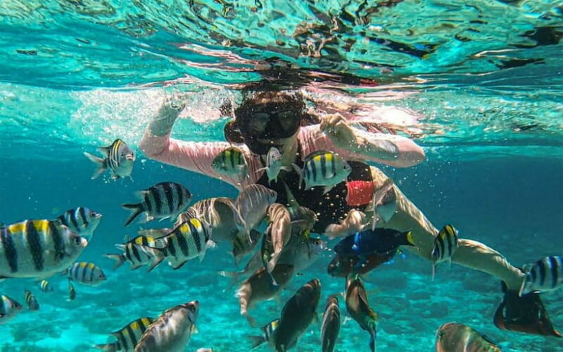 Cebu: Private Mactan Island Hopping Tour with Lunch - Who Will Enjoy This Tour?
