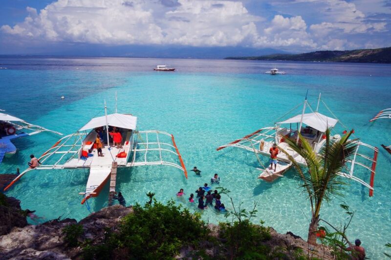 Cebu: Private Sumilon Island & Optional Whale Shark Swim - Inclusions