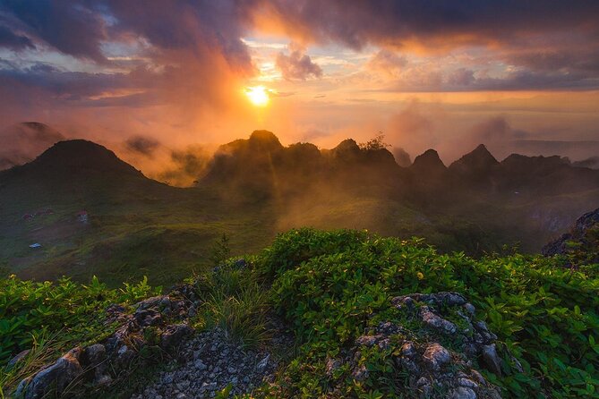 Cebu: Private Tour- Osmena Peak+Oslob Whaleshark+Tumalog Falls - Pickup Information
