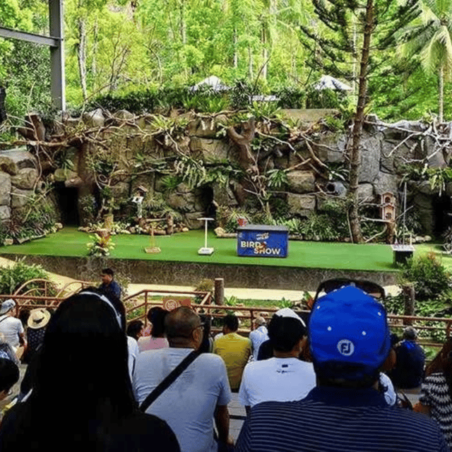 CEBU: Safari Adventure - Wildlife and Conservation