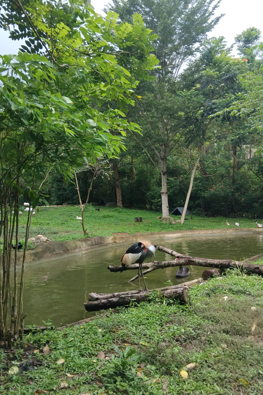 Cebu Safari & Adventure Park - Explore Botanical Gardens