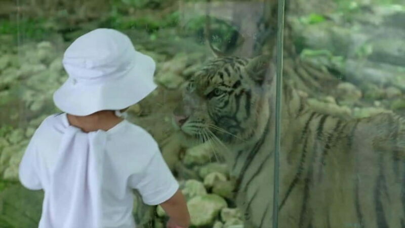 Cebu Safari & Adventure Park: Wildlife Tour with Transfers - Educational and Conservation Focus