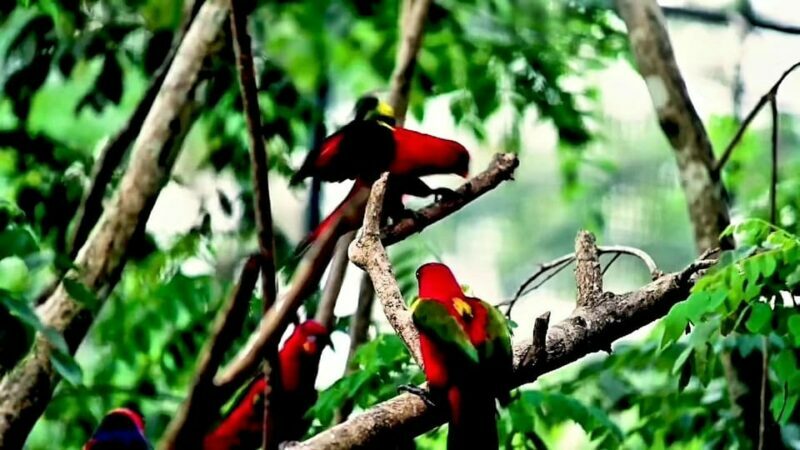 Cebu Safari & Adventure Park: Wildlife Tour with Transfers - The Value of the Tour: Is It Worth It?