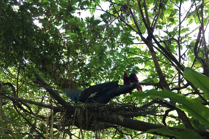 Cebu Safari and Adventure Park - Adventure Activities and Tours