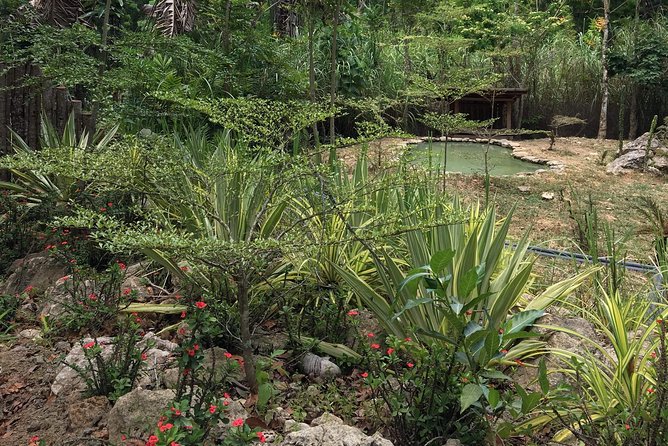 Cebu Safari and Adventure Park - Visitor Amenities and Facilities