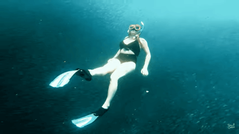 Cebu: Sardine Run Snorkeling, Mantayupan Falls & ATV Thrills - What to Bring and Prepare