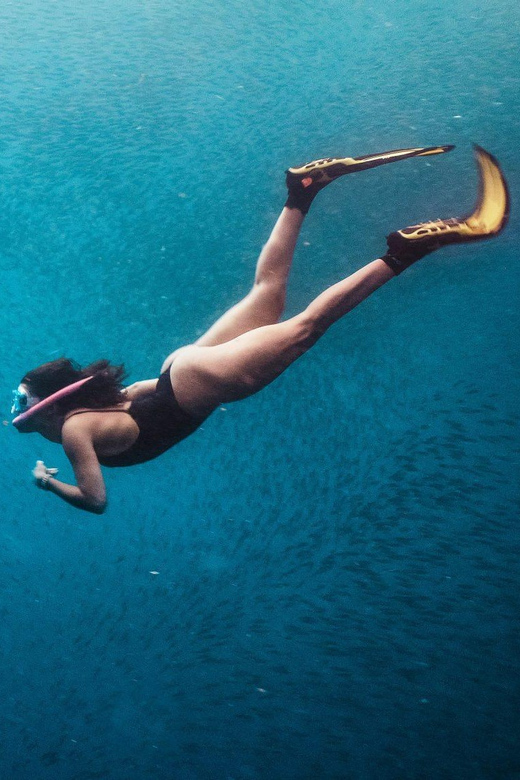 Cebu: Sardine & Turtle Snorkelling Run & Mantayupan Falls - Key Points
