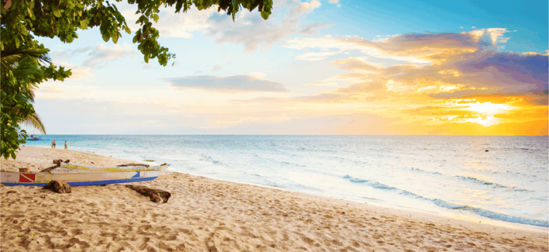 Cebu: Sardine & Turtle Snorkelling Run & Mantayupan Falls - Itinerary Highlights