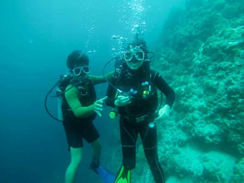 Cebu: Scuba Diving with Whale Sharks Trip in Oslob - Who Will Love This Tour?