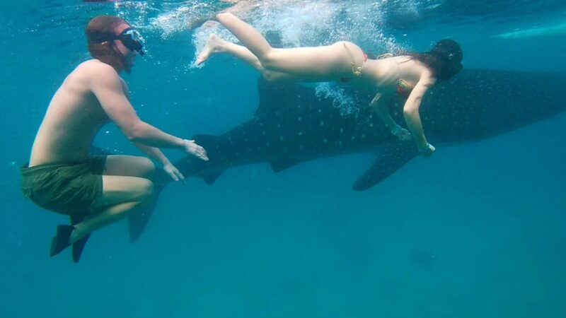 Cebu Shared Tour: Whaleshark Swimming & Kawasan Canyoneering - Transportation and Logistics