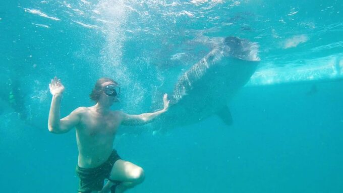 Cebu Shared Tour: Whaleshark Swimming & Kawasan Canyoneering - Customer Feedback and Ratings