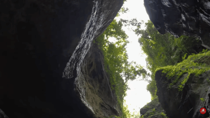 Cebu: Shared Tours Oslob Whale Shark and Canyoneering - Frequently Asked Questions