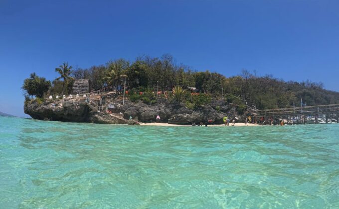Cebu Swim With Whaleshark & Sumilon Island - Frequently Asked Questions