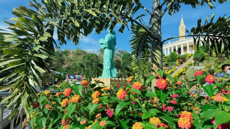 Cebu to Bohol: Shared Countryside Tour + Buffet Lunch - Cancellation and Refund Policy