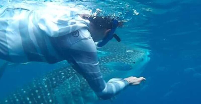 Cebu Tour: Oslob Joiners/Shared Tour - Booking Information