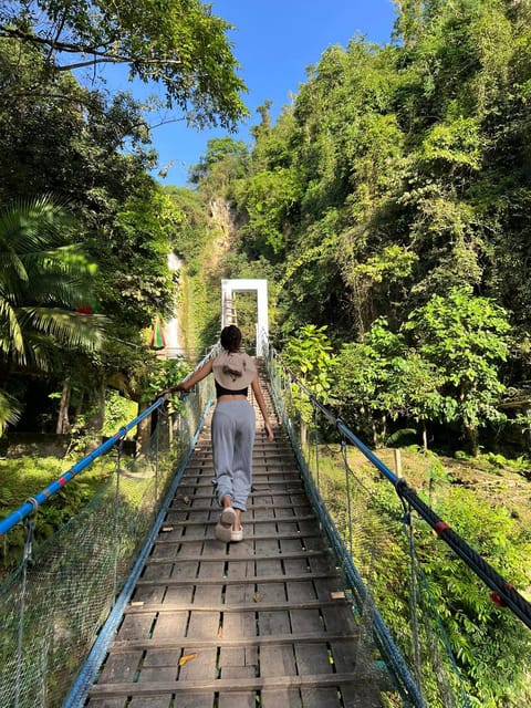 Cebu: Whale Shark Encounter &Adventure With Mantayupan Falls - Inclusions and Transportation