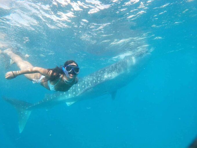 Cebu: Whale Shark Encounter &Adventure With Mantayupan Falls - Safety Considerations