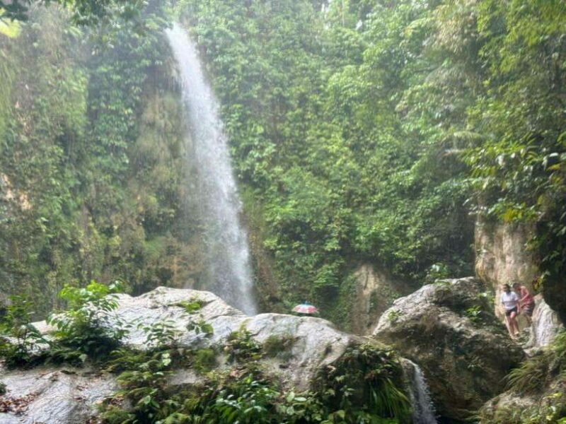 Cebu: Whale Shark, Inambakan Falls & Moalboal Sardine Tour - An Overview of the Cebu Tour