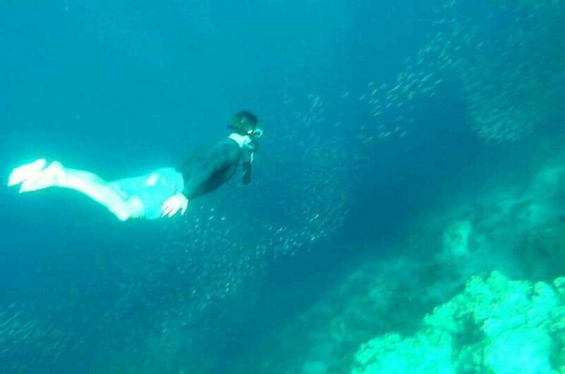 Cebu: Whale Shark, Inambakan Falls & Moalboal Sardine Tour - Final Thoughts
