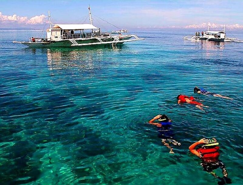 Cebu: Whale Shark & Moalboal Island Hoping - Snorkeling in Moalboal