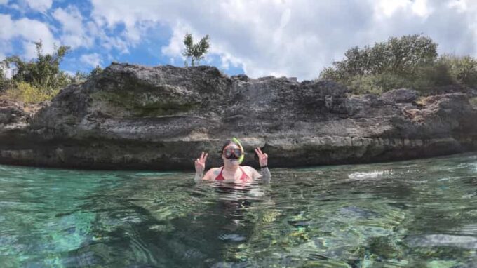 Cebu: Whale Shark & Moalboal Island Hoping - Transportation and Meeting Point