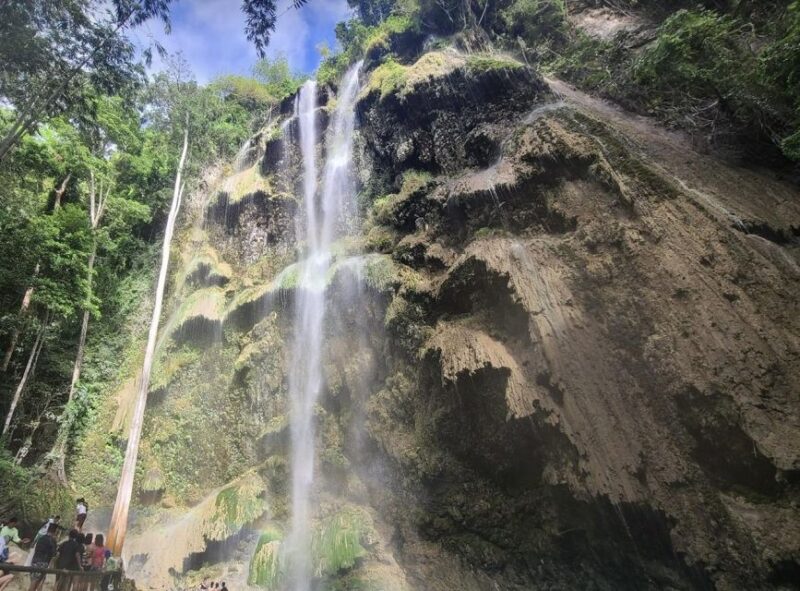 Cebu: Whale Shark & Mysterious Waterfall Private Tour - Tour Inclusions