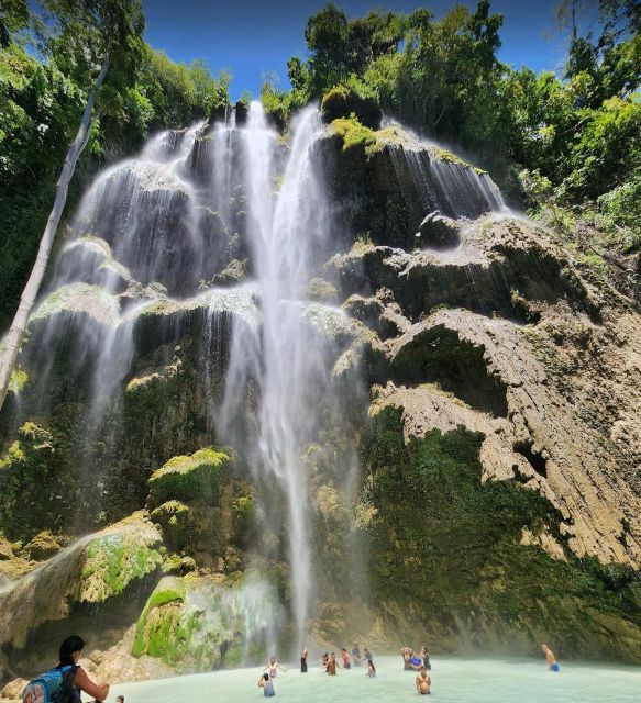 Cebu: Whale Shark & Mysterious Waterfall Private Tour - Important Information