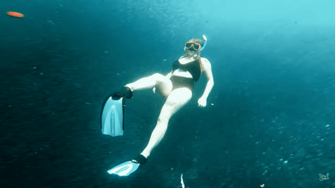 Cebu: Whale Shark Oslob and Moalboal Snorkeling Adventure - Customer Feedback
