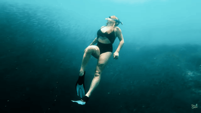 Cebu: Whale Shark Oslob and Moalboal Snorkeling Adventure - Sustainable Tourism Practices