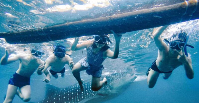 Cebu: Whale Shark, Sumilon Island, & Inambakan Falls - Itinerary and Activities