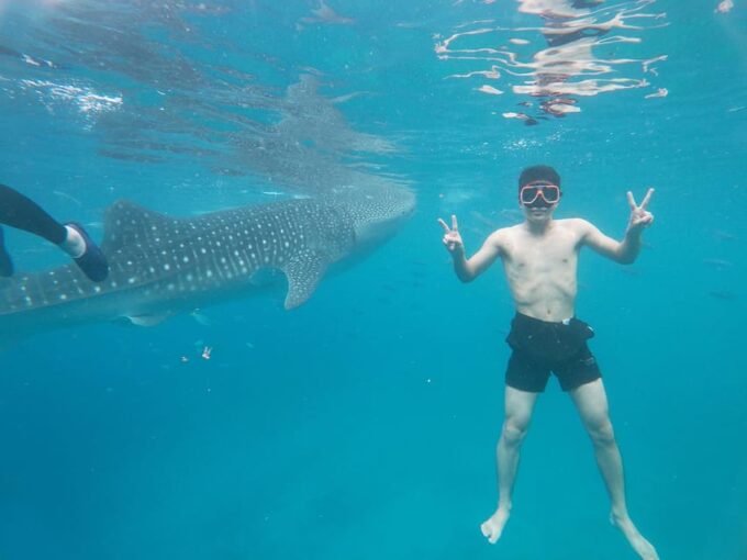 Cebu: Whale Shark, Sumilon Island, & Inambakan Falls - Frequently Asked Questions