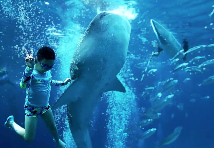 Cebu: Whale Shark Swim and Kawasan Canyoneering Group Tour - Frequently Asked Questions